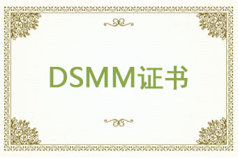 DSMM數據安全能力成熟度模型
